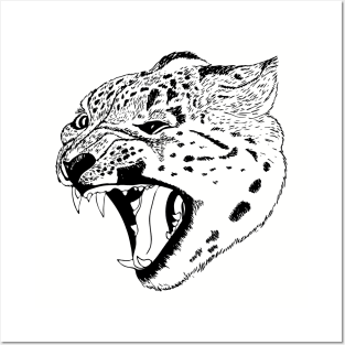 Snow Leopard Posters and Art